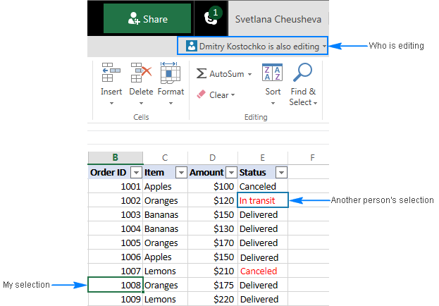 utiliser la co-authoring dans Excel 4